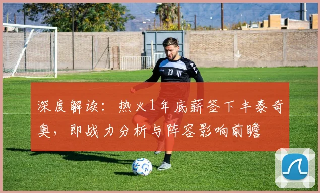 深度解读：热火1年底薪签下丰泰奇奥，即战力分析与阵容影响前瞻
